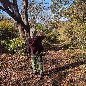 お知らせ と今朝の