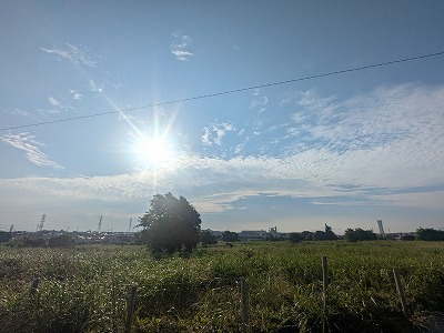 s-1000025216.jpg
